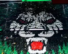 北京国安送走2大外援 北京国安送走2大外援