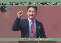 大连山海集团老板自首
